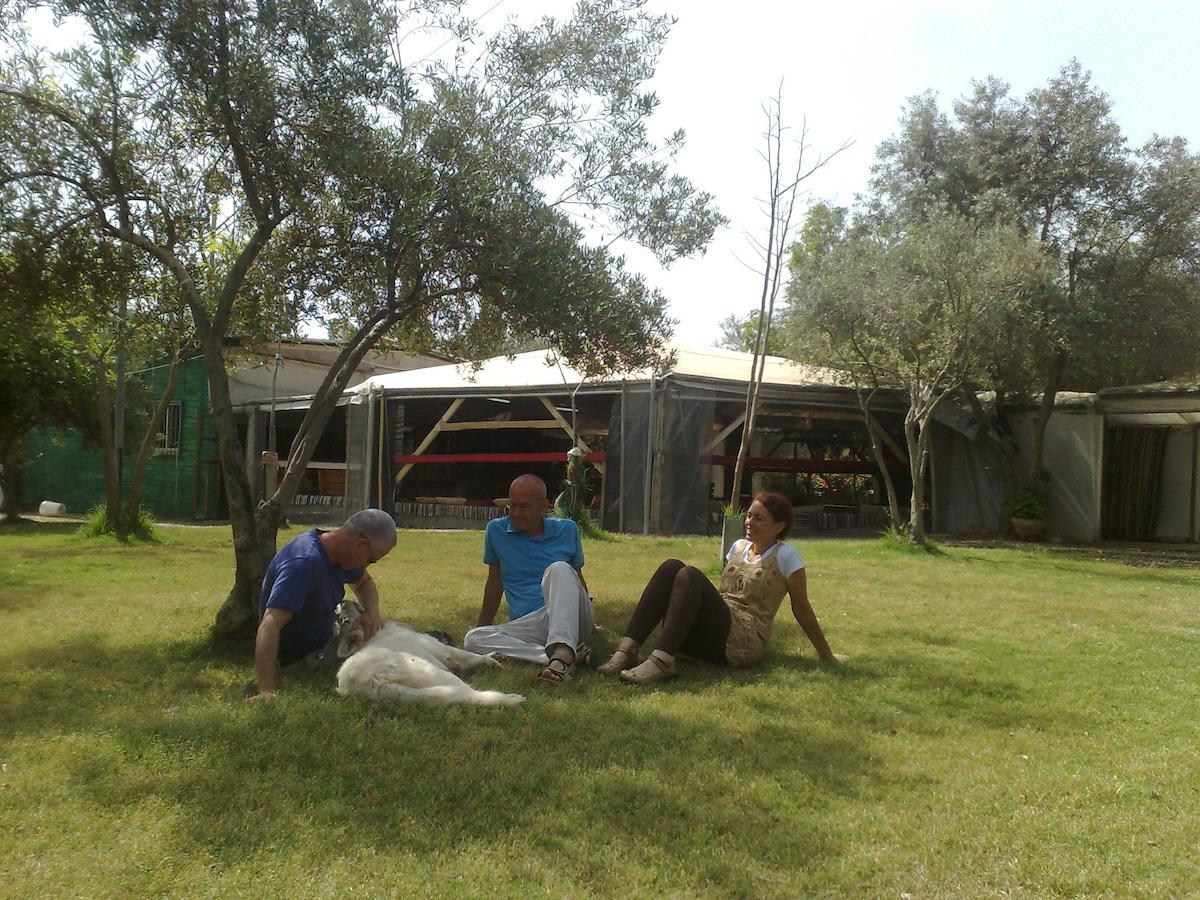 Вилла Peace Tent Kfar Rut Номер фото