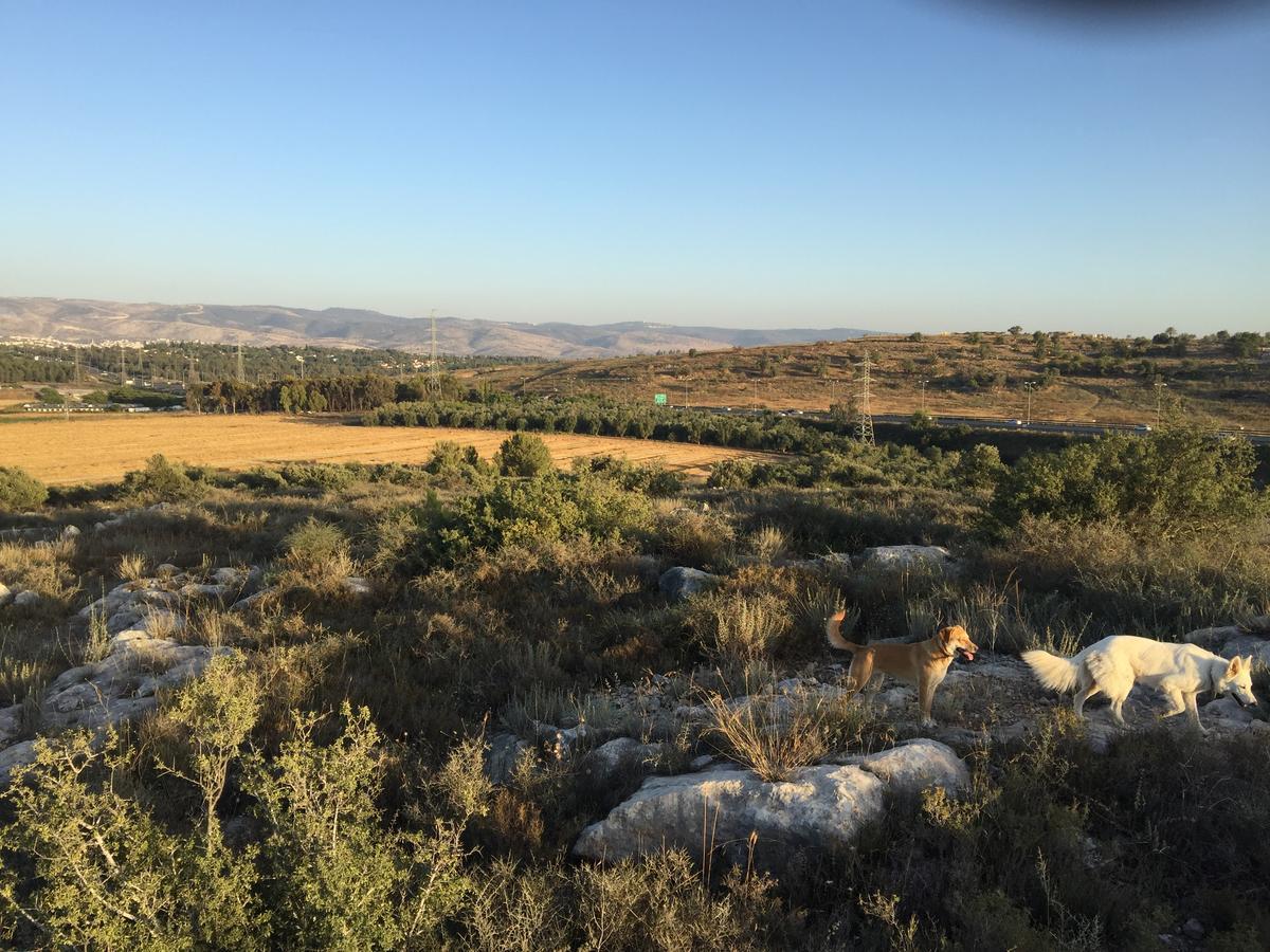 Вилла Peace Tent Kfar Rut Экстерьер фото
