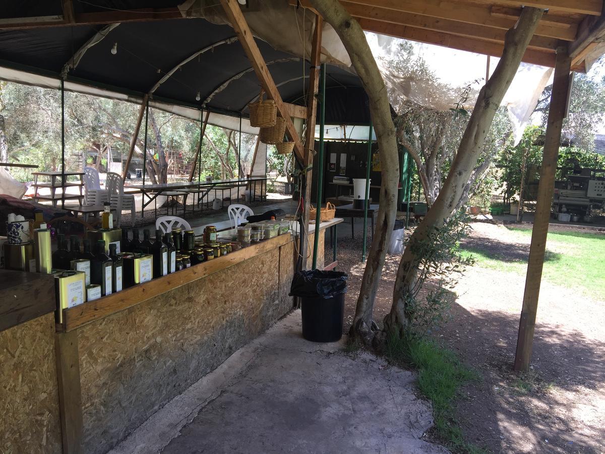 Вилла Peace Tent Kfar Rut Экстерьер фото